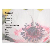 Anemone Business Card