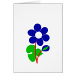 Anemone cards