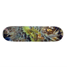 Anemone Custom Skateboard