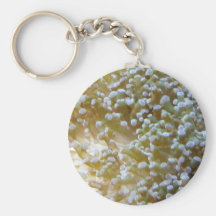 anemone key chains
