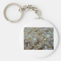 anemone keychain