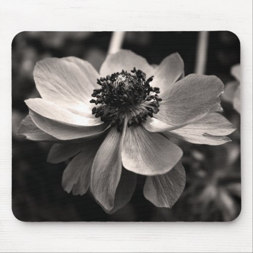 Anemone Mousepads