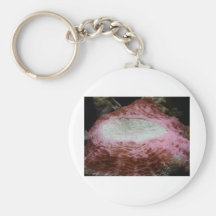 anemone,red keychains