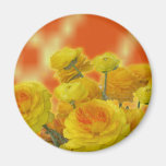 Anemones floral magnet