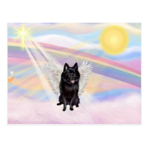 Ange de Schipperke Carte Postale