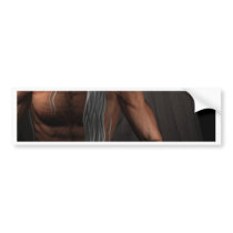angel5282 bumper stickers