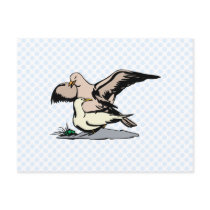 Angel & Angela Albatross Post Card