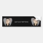 Angel Cat (Lucian) Bumper Stickers