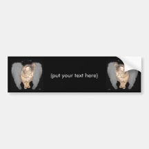 Angel Cat (Lucian) Bumper Stickers