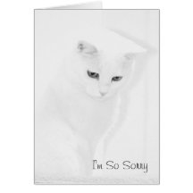 Angel Cat Sympathy Card