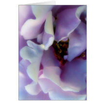 Angel Face Rose Greeting Cards