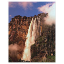 Angel Falls on Auyan Tepui, Venezuela Flyer