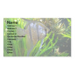 Angel Fish Business Card Templates