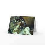 Angel Fish Greeting Card