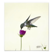 Angel in flight Photographic Art