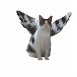 Angel Kitty Key Chain Photo Sculpture