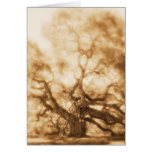 "Angel Oak 1" - MW1106 Card