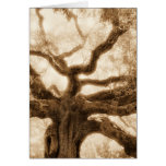 "Angel Oak  2" - MW1107 Cards
