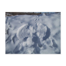 Angel On The Snow Post Cards