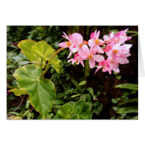 Angel wing Begonia Card