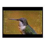 Angel Wing Series Postcard