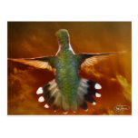Angel Wing Series Postcards