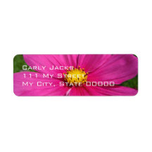 Angeled Pink Cosmo Labels