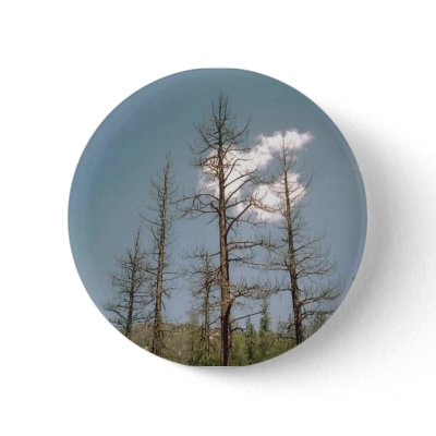 Angeles Mountains Pins by quetzal323