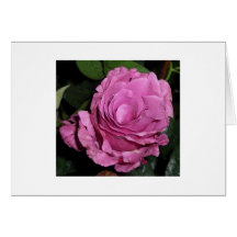Angelface Rose Greeting Card