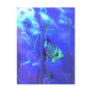Angelfish Blues Post Cards