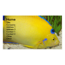Angelfish Business Card