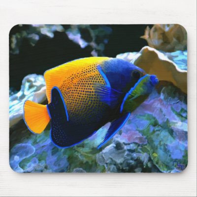 angelfish mousepad by nefera