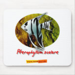 Angelfish Mouse Pad