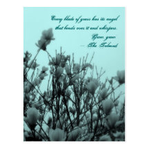 Angels Post Card