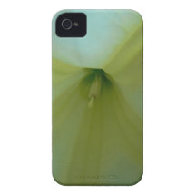 Angel's Trumpet Closeup iPhone 4 Covers