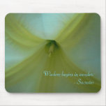 Angel's Trumpet Closeup Mousepad
