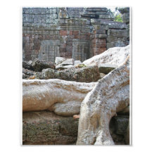 Angkor Temple Trees Photographic Print