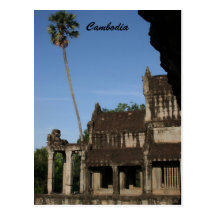 angkor tree postcards
