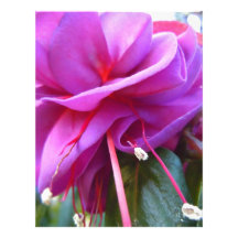 Angled Fuschia Letterhead Design