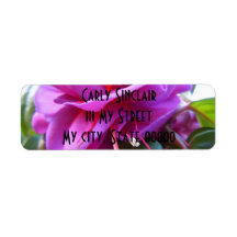 Angled Fuschia Return Address Label