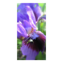 Angled Iris Photocard Custom Photo Card