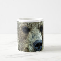 angry bear mug