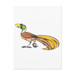 Angry Bird of Paradise Postcards