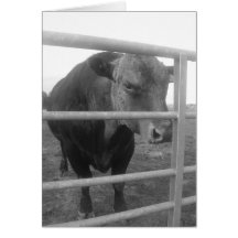 Angry Bull Card
