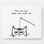 Angry Cat is not amused