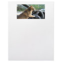 Angry Cat letterhead