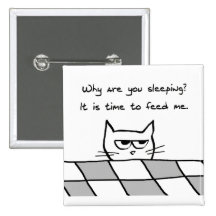 Angry Cat Wants You Out of Bed Pinback Button