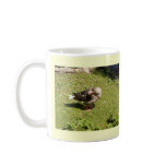 Angry Goose Back Away Mug