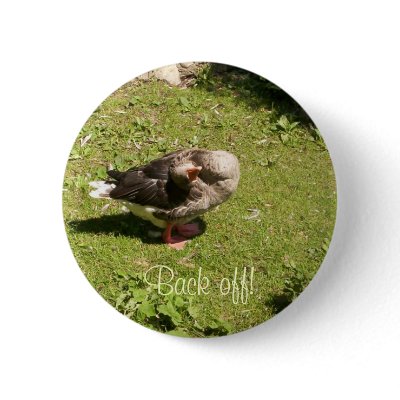 Angry Goose Back Off Button by stonedorphotos