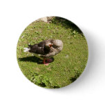 Angry Goose Button